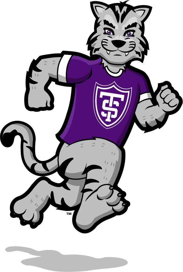 St. Thomas Tommies 2021-Pres Mascot Logo v7 diy iron on heat transfer